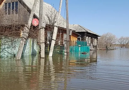 В затопленном российском Кургане появились бобры (видео)