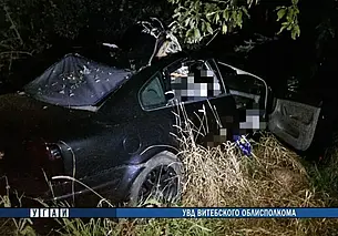 Под Витебском иномарка столкнулась с лосем. Погиб ребенок