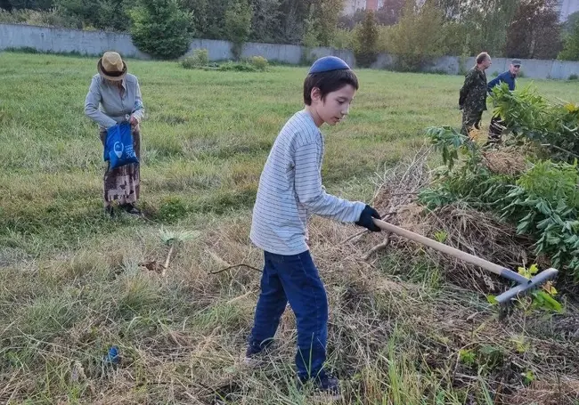 Волонтеры-евреи убрали старую часть Еврейского кладбища в Могилеве. Фотофакт