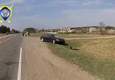 Следователи ищут очевидцев ДТП в Осиповичском районе, в котором погибла женщина-велосипедистка