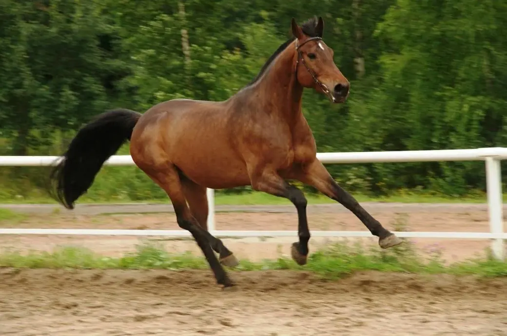 Фото, присланное заказчиком...