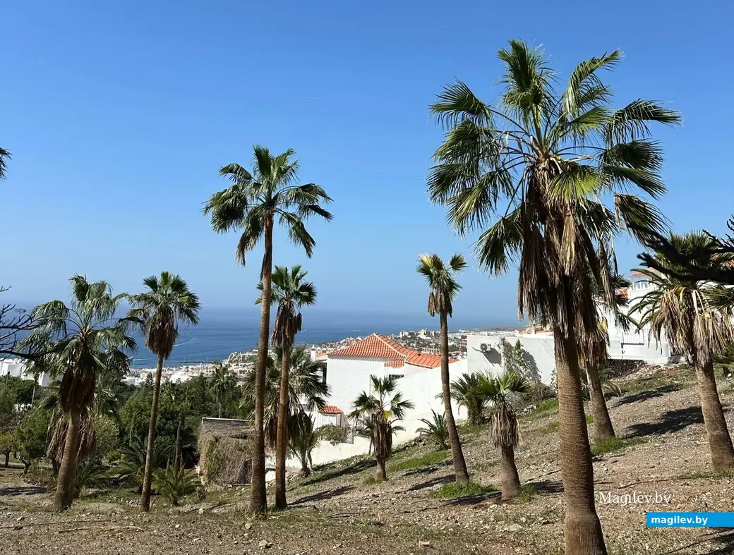 «Восемь тысяч евро придется отдать только за жилье». Как могилевчанка с семьей зимует на Канарских островах.