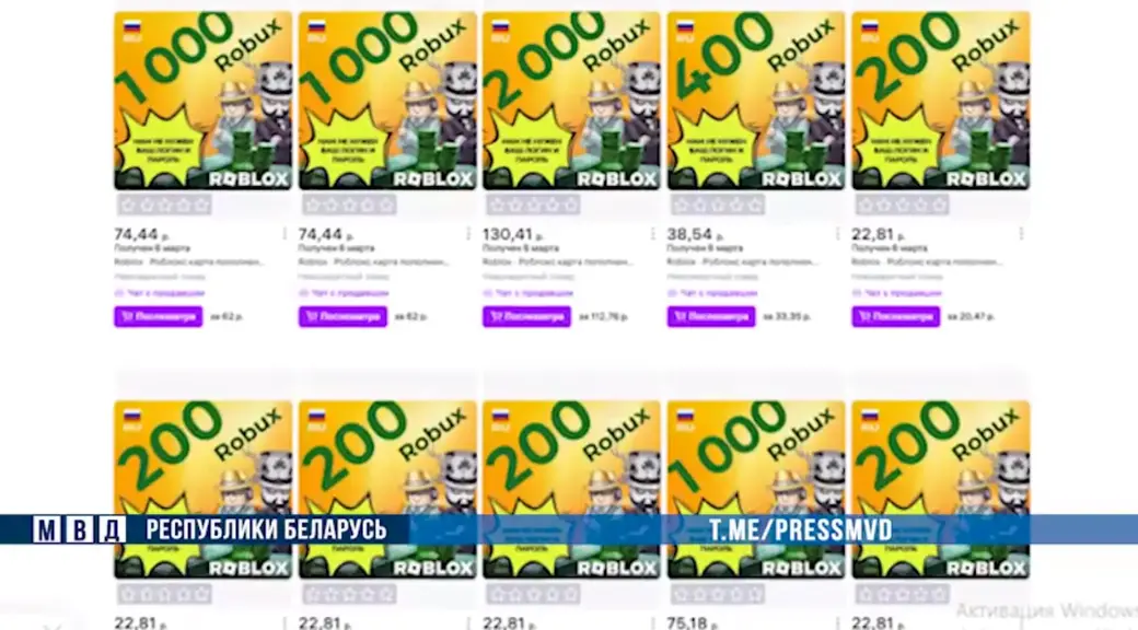 Фото: стоп-кадр видео МВД РБ