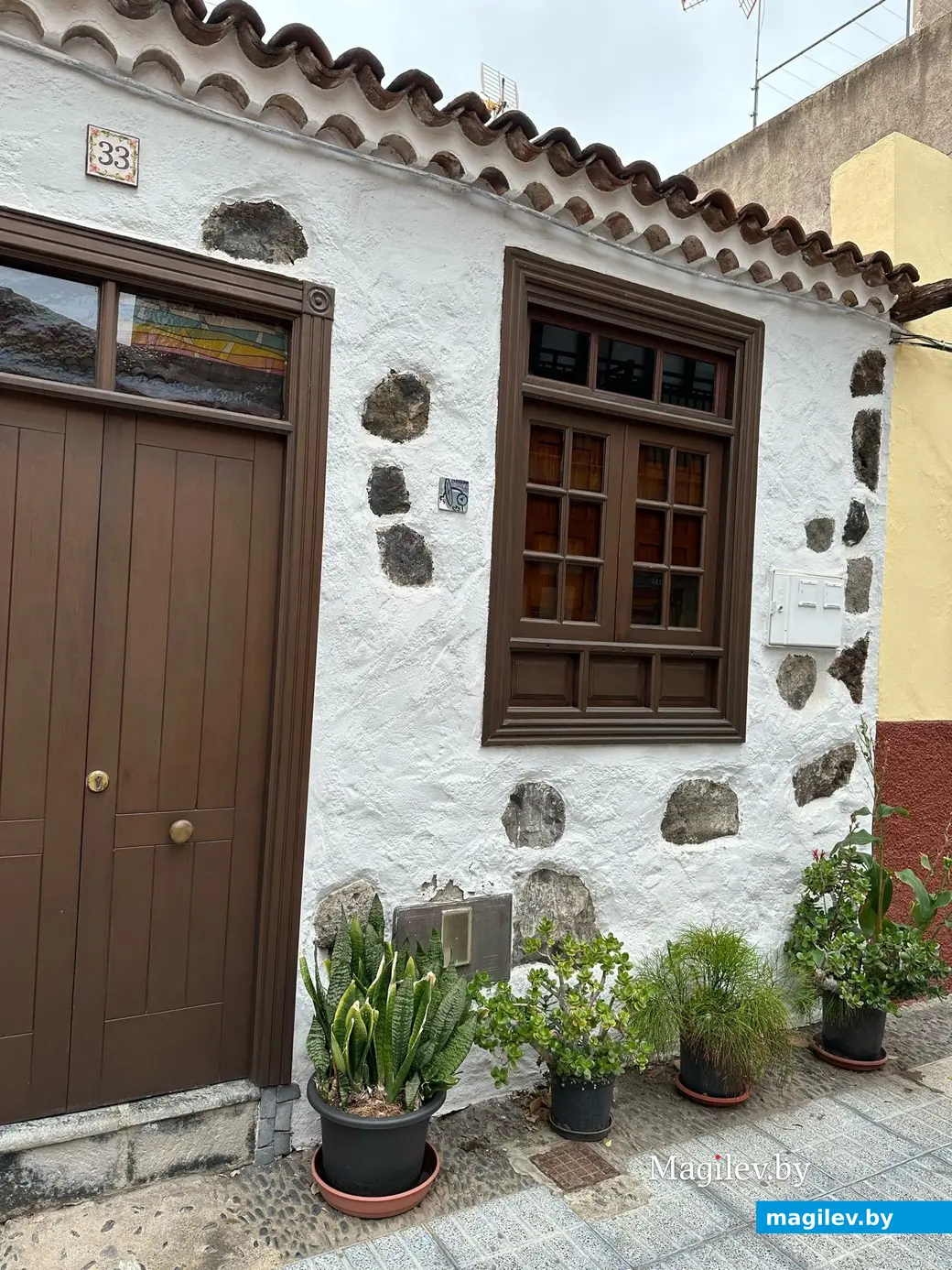 «Восемь тысяч евро придется отдать только за жилье». Как могилевчанка с семьей зимует на Канарских островах.