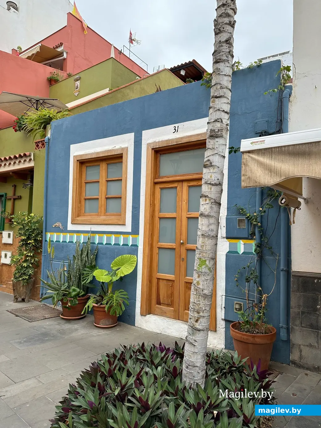 «Восемь тысяч евро придется отдать только за жилье». Как могилевчанка с семьей зимует на Канарских островах.