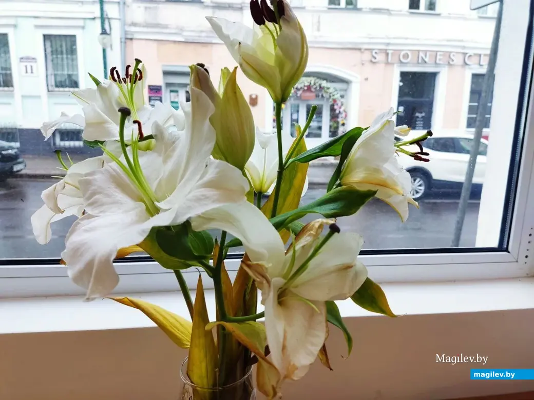 24.04.2024 г. Могилев, пиццерия «Пан Пицца»