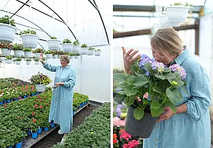 «С мая будем торговать рассадой на рынке в Могилеве»