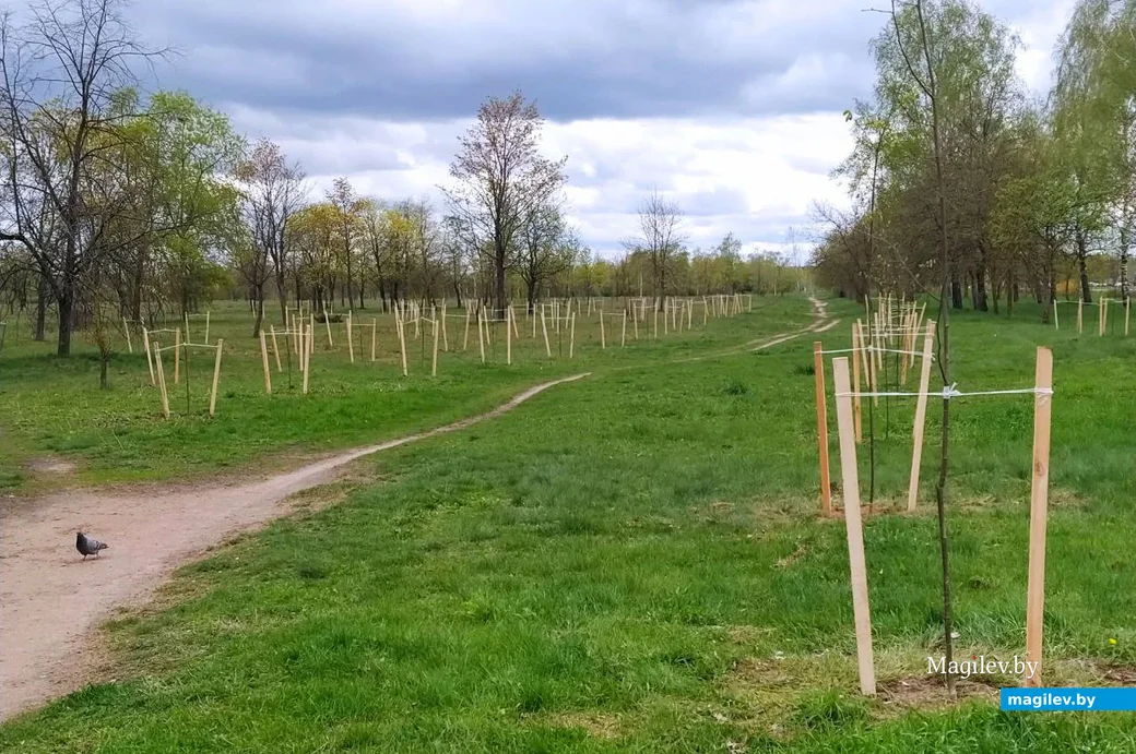   Могилев. Парк возле Святого озера. 