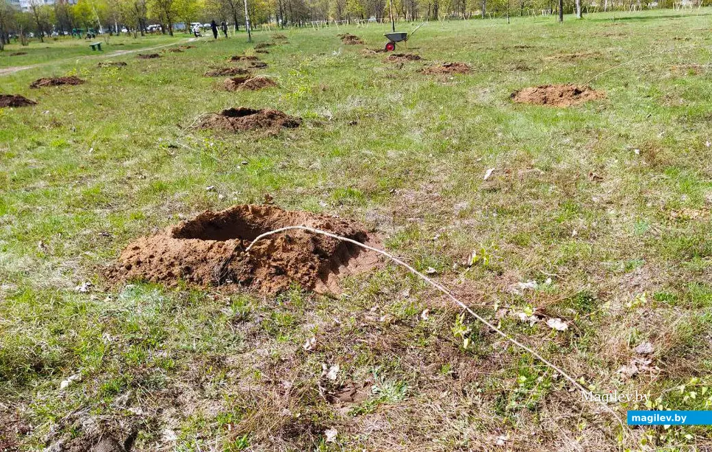 25 апреля 2024 года. Могилев. Парк возле Святого озера (Парк имени 60-летия Великого Октября).