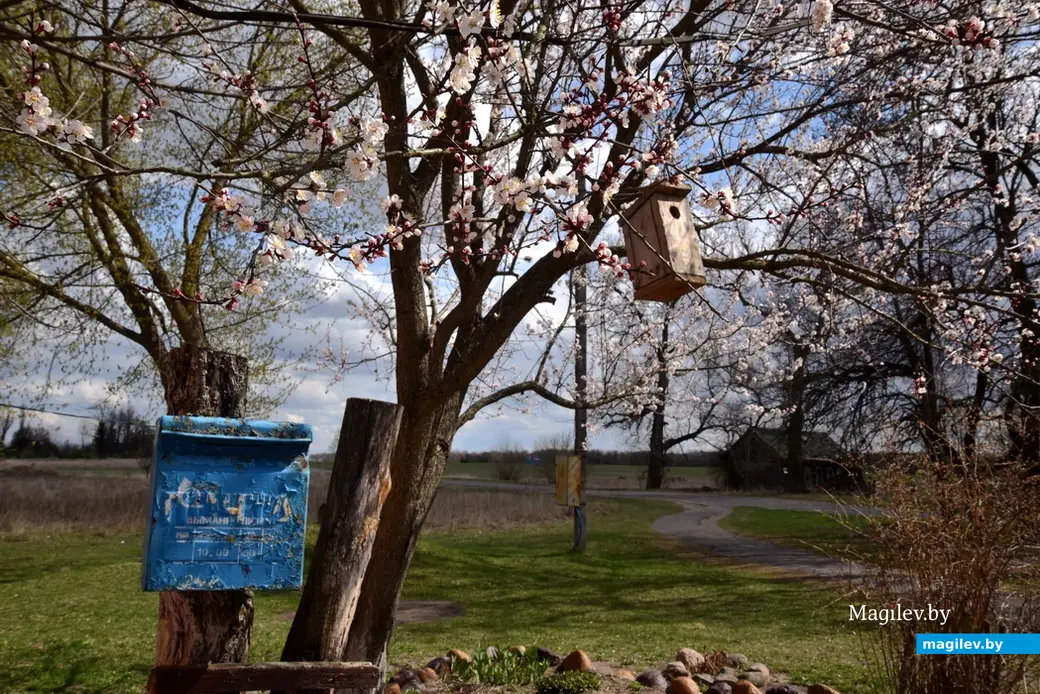 Аварии на Чернобыльской АЭС. Опустевшие деревни. 2014 год. Брагинский район. Фото Александра Литина.