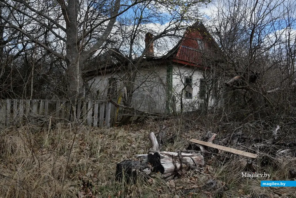 Аварии на Чернобыльской АЭС. Опустевшие деревни. 2014 год. Брагинский район. Фото Александра Литина.