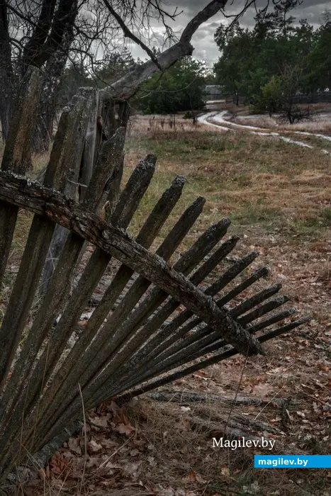 Аварии на Чернобыльской АЭС. Опустевшие деревни. 2014 год. Брагинский район. Фото Александра Литина.