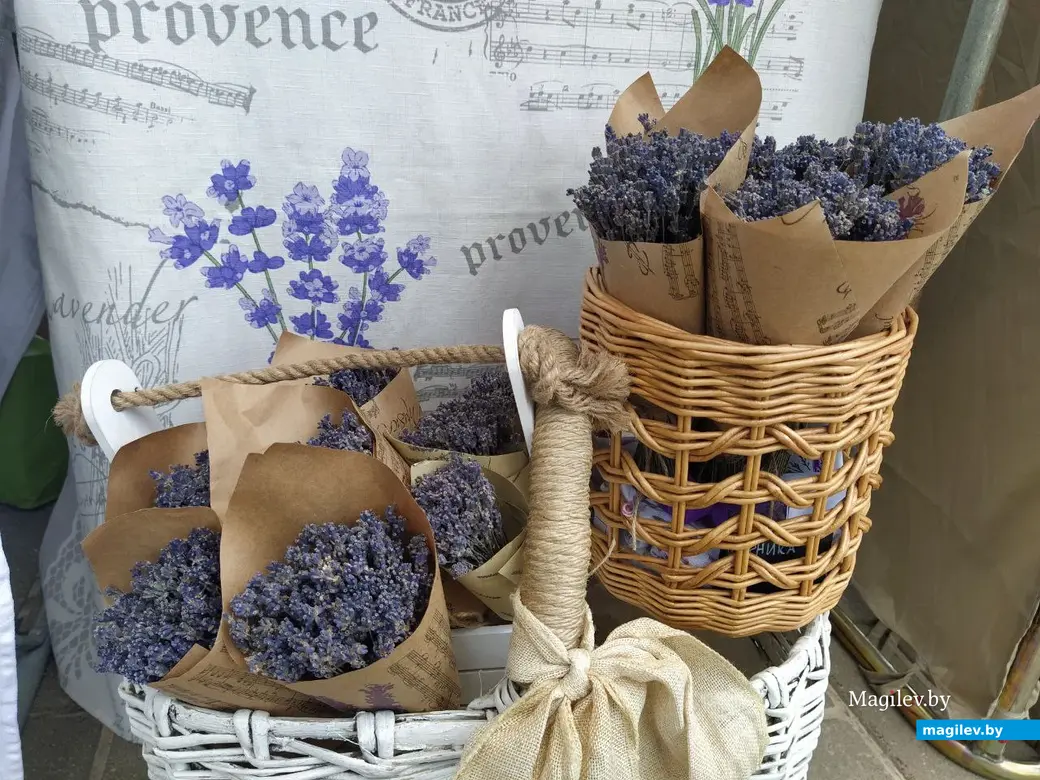 Могилев, 28 апреля 2024 года. «Вербны кiрмаш» в парке Подниколья.