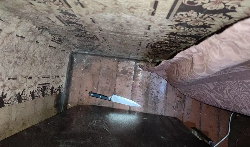 Фото: УГКСЭ по Могилевской области