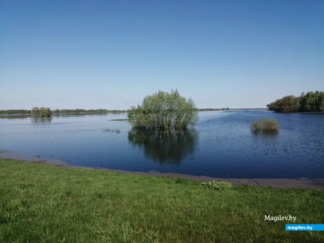 В Быхове рыбу можно ловить прямо из окна дома. Фотофакт | magilev.by