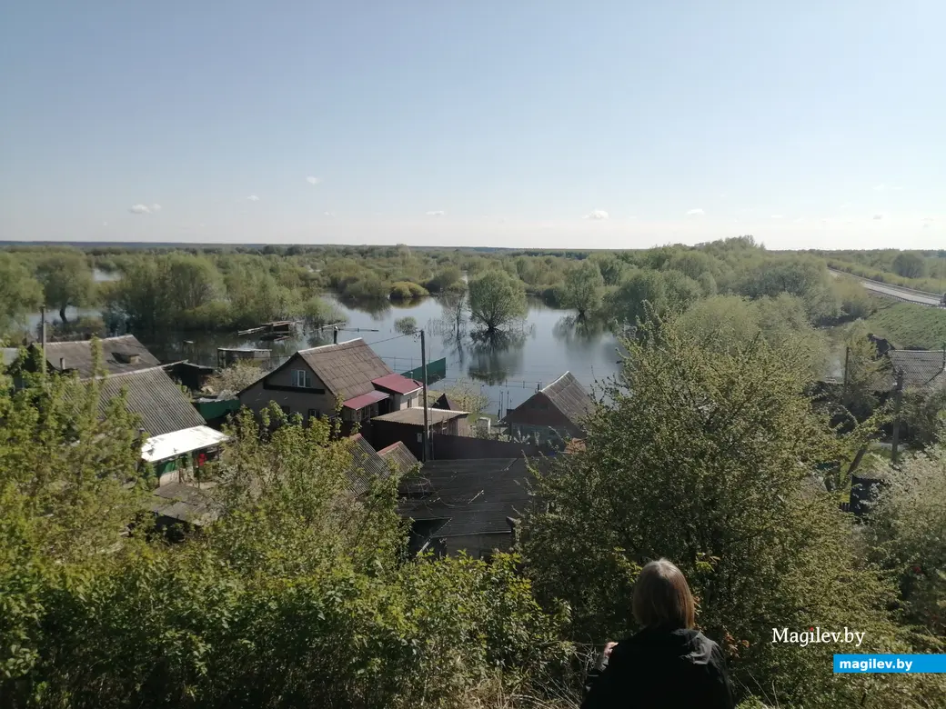 В Быхове рыбу можно ловить прямо из окна дома. Фотофакт | magilev.by