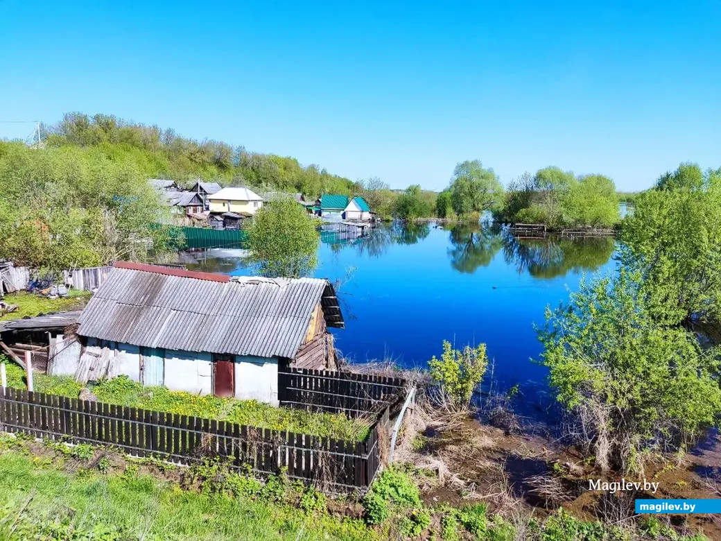 В Быхове рыбу можно ловить прямо из окна дома. Фотофакт | magilev.by