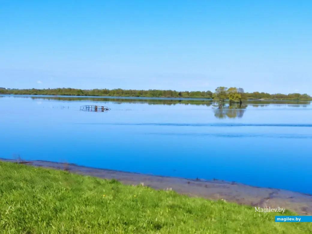 28.04.2024 г. Быхов, Могилевская область