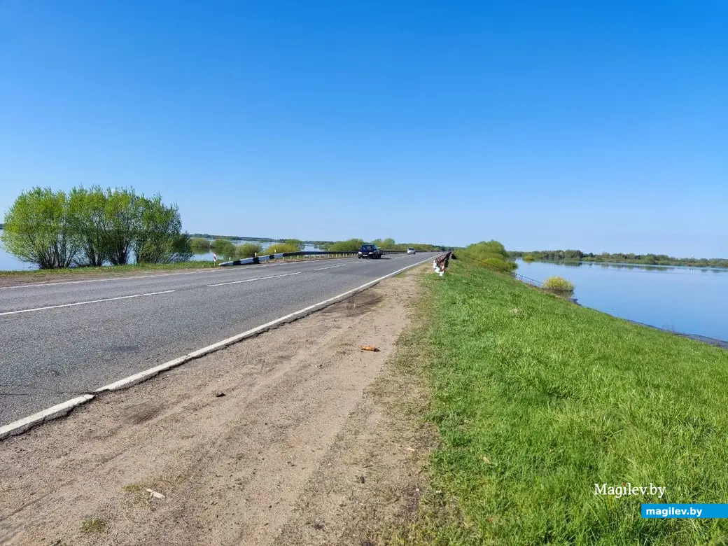 В Быхове рыбу можно ловить прямо из окна дома. Фотофакт | magilev.by