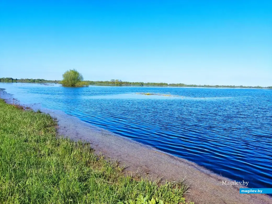 28.04.2024 г. Быхов, Могилевская область