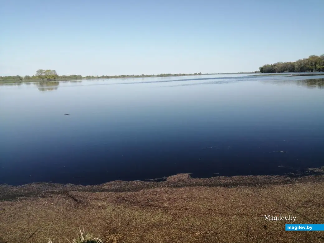 28.04.2024 г. Быхов, Могилевская область