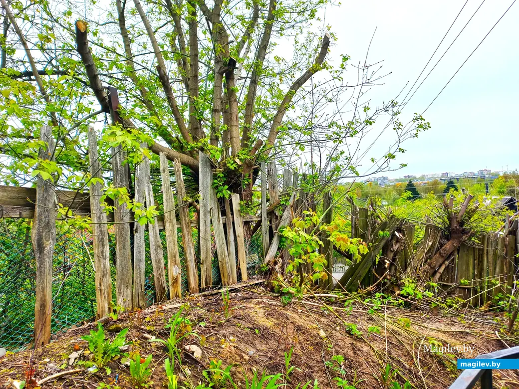 Апрель 2024 года, Могилев, Дорога к Вове.