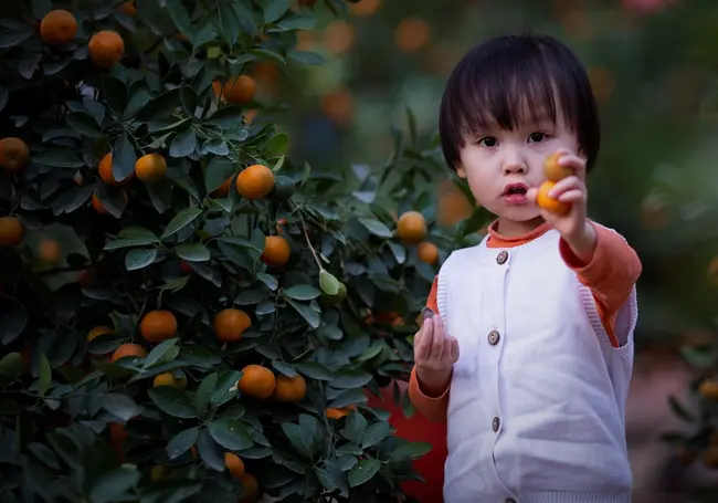Цитрусы в детском меню: с какого возраста ребенку можно давать апельсины и лимоны