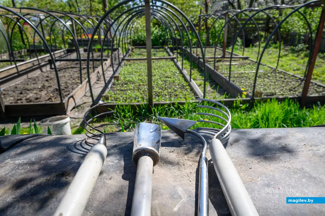 30.04.2024. Бобруйск. У супругов Наумовых, ул. Советская.