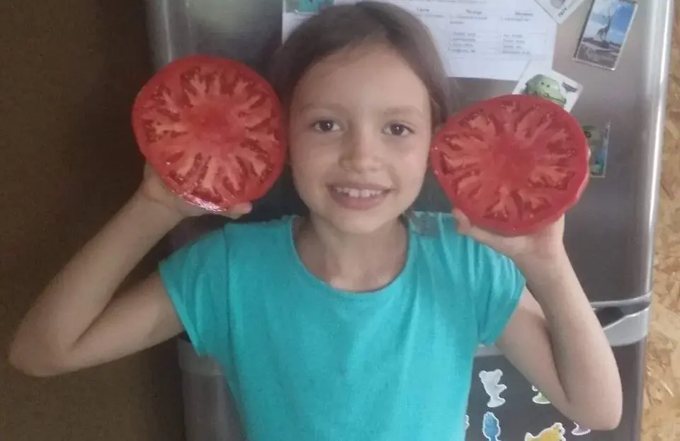 30.04.2024. Бобруйск. Раиса Наумова выращивают рассаду овощей. Их дочь Кира с урожаем. Фото героев материала.