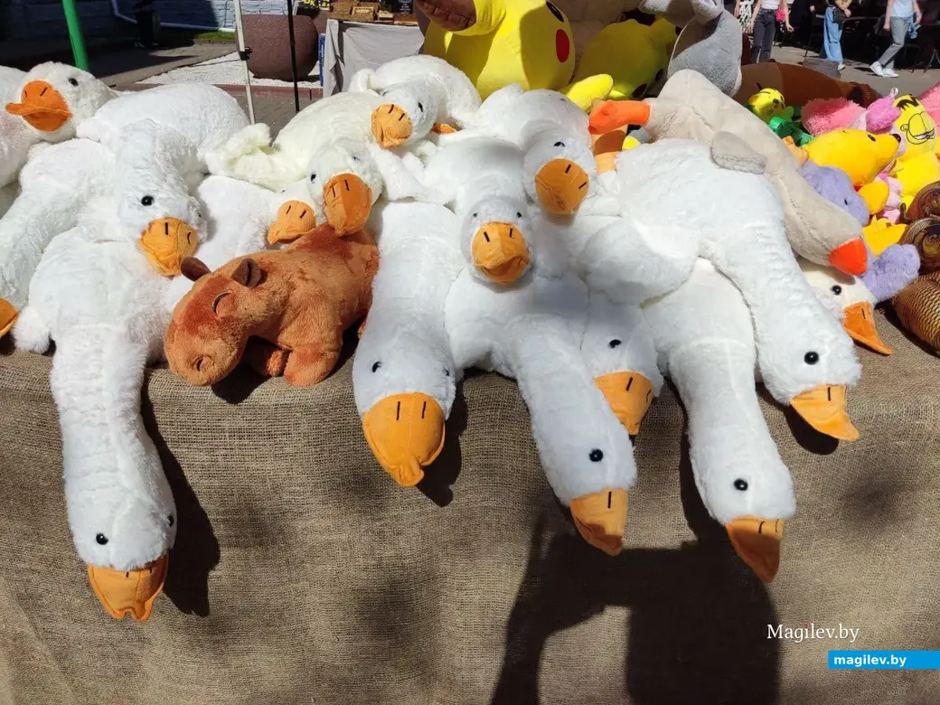 1.05.2024 г. Могилев, улица Ленинская