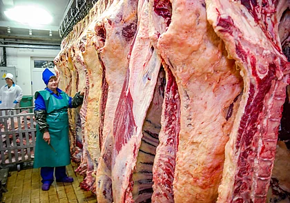 Беларусь стала основным поставщиком мяса в Россию по результатам 2023 года