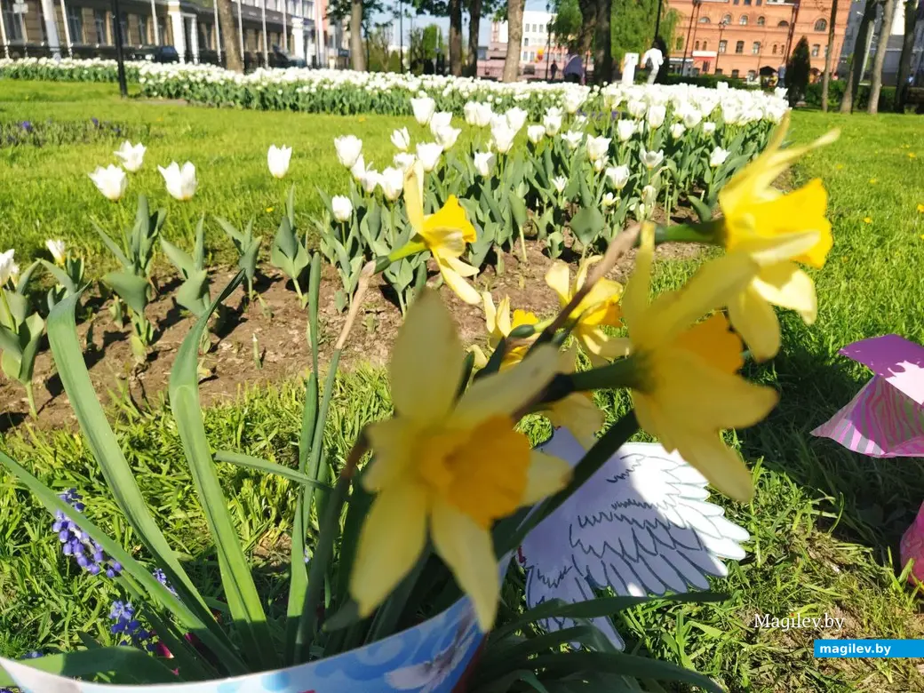 Могилев, 1 мая 2024 года. Выставка весенних букетов в Театральном сквере.