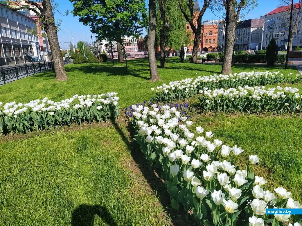 Могилев, 1 мая 2024 года. Выставка весенних букетов в Театральном сквере.