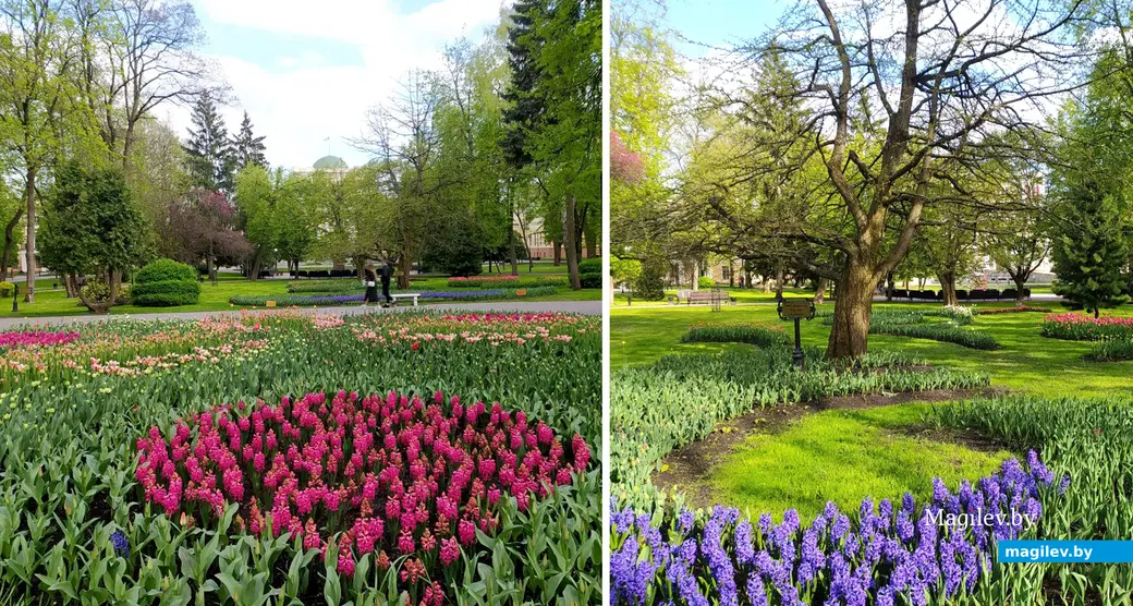 25.04.2024. Гомель. Дворцово-парковый ансамбль Румянцевых-Паскевичей.