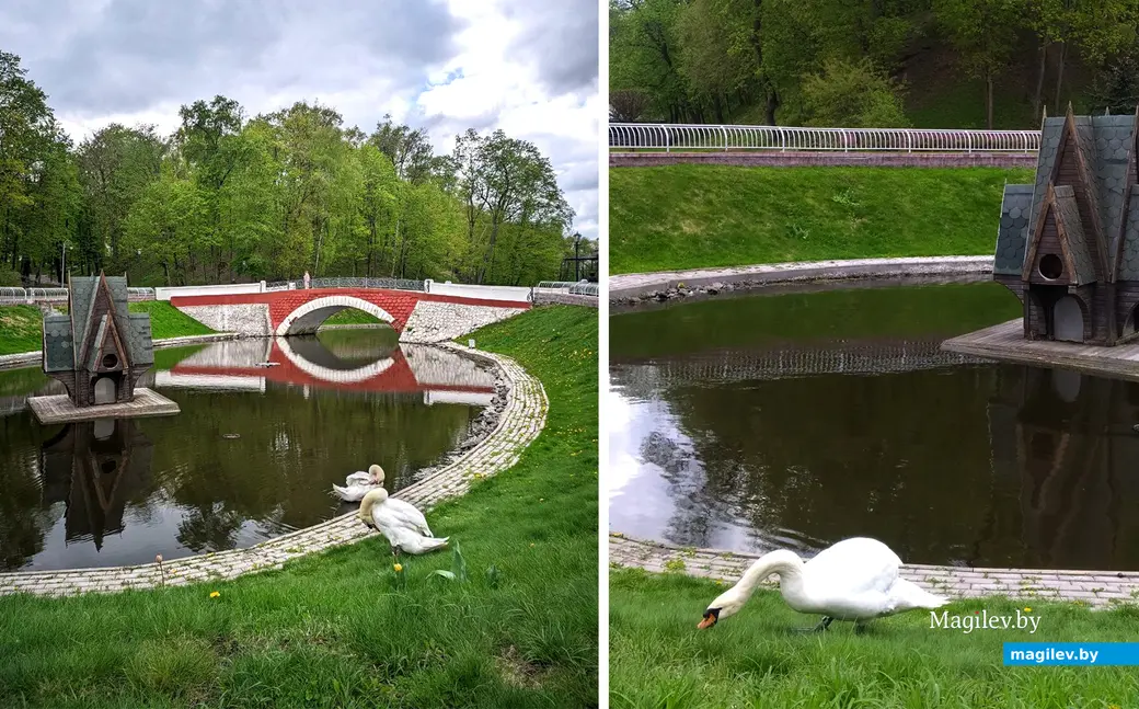 25.04.2024. Гомель. Лебяжий пруд в дворцово-парковом ансамбле Румянцевых-Паскевичей.