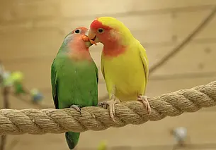 Куда сходить в Могилеве «на майские»: наш гид