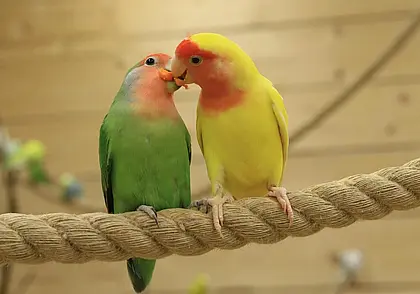 Куда сходить в Могилеве «на майские»: наш гид