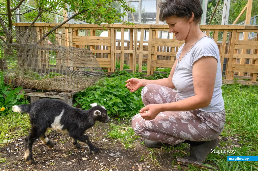 06.05.2024, Бобруйск. Марина Машук держит домашних животных на приусадебном участке.