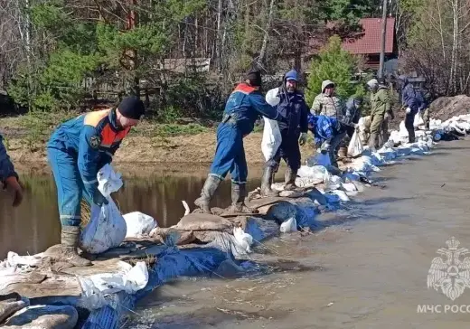 В Омской области России прорвало дамбу. Поступает информация о гибели скота
