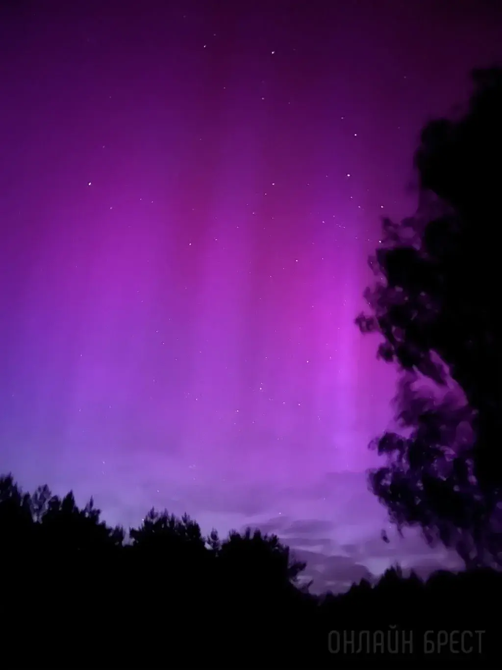 Брестский район, Большие Радваничи.