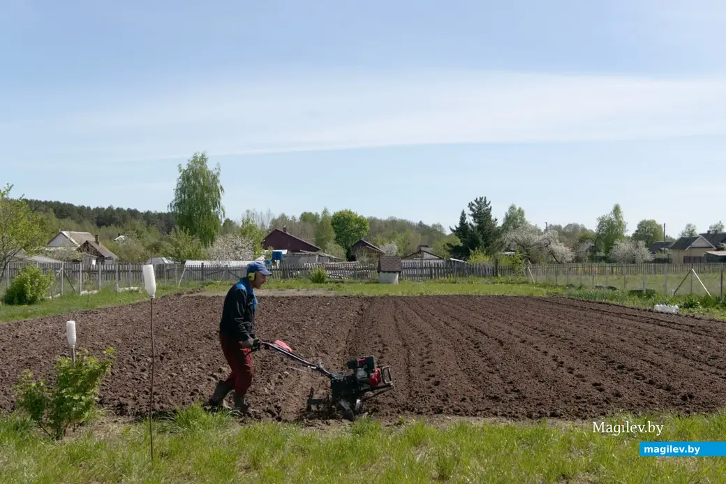 Май 2024 г. Могилевская область, Бобруйский район, д. Брожа.