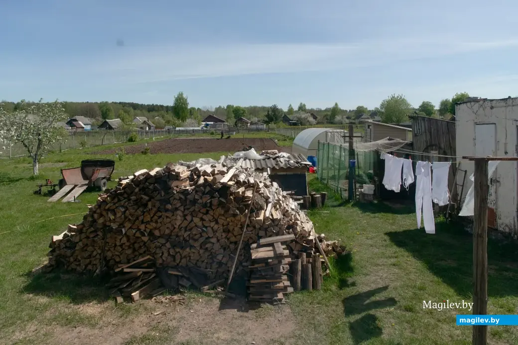 Май 2024 г. Могилевская область, Бобруйский район, д. Брожа.