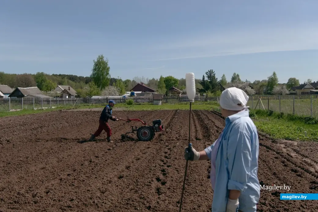 Май 2024 г. Могилевская область, Бобруйский район, д. Брожа.