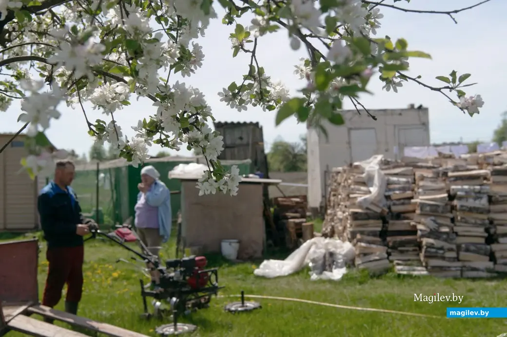 Май 2024 г. Могилевская область, Бобруйский район, д. Брожа.