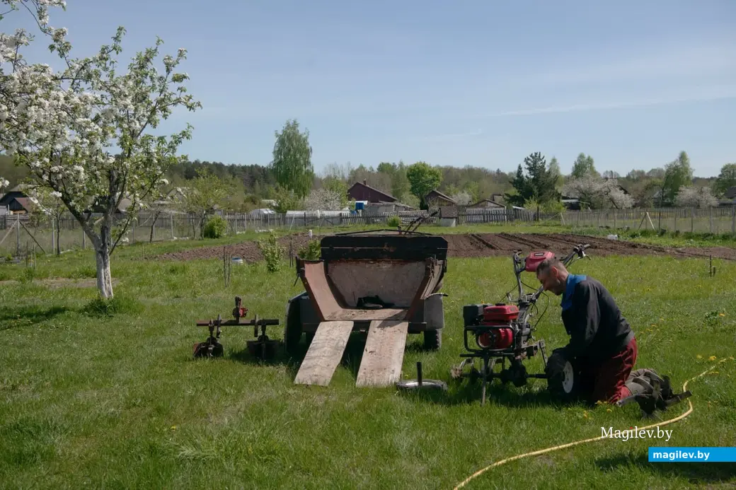 Май 2024 г. Могилевская область, Бобруйский район, д. Брожа.