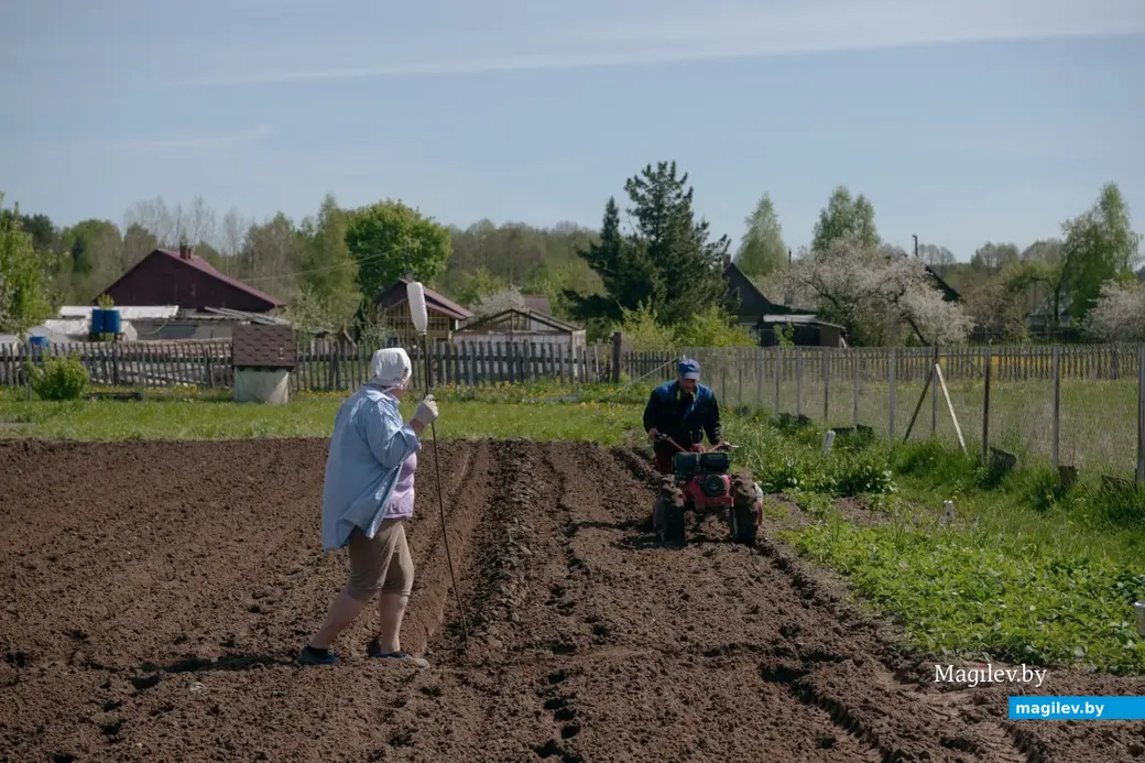 Май 2024 г. Могилевская область, Бобруйский район, д. Брожа.