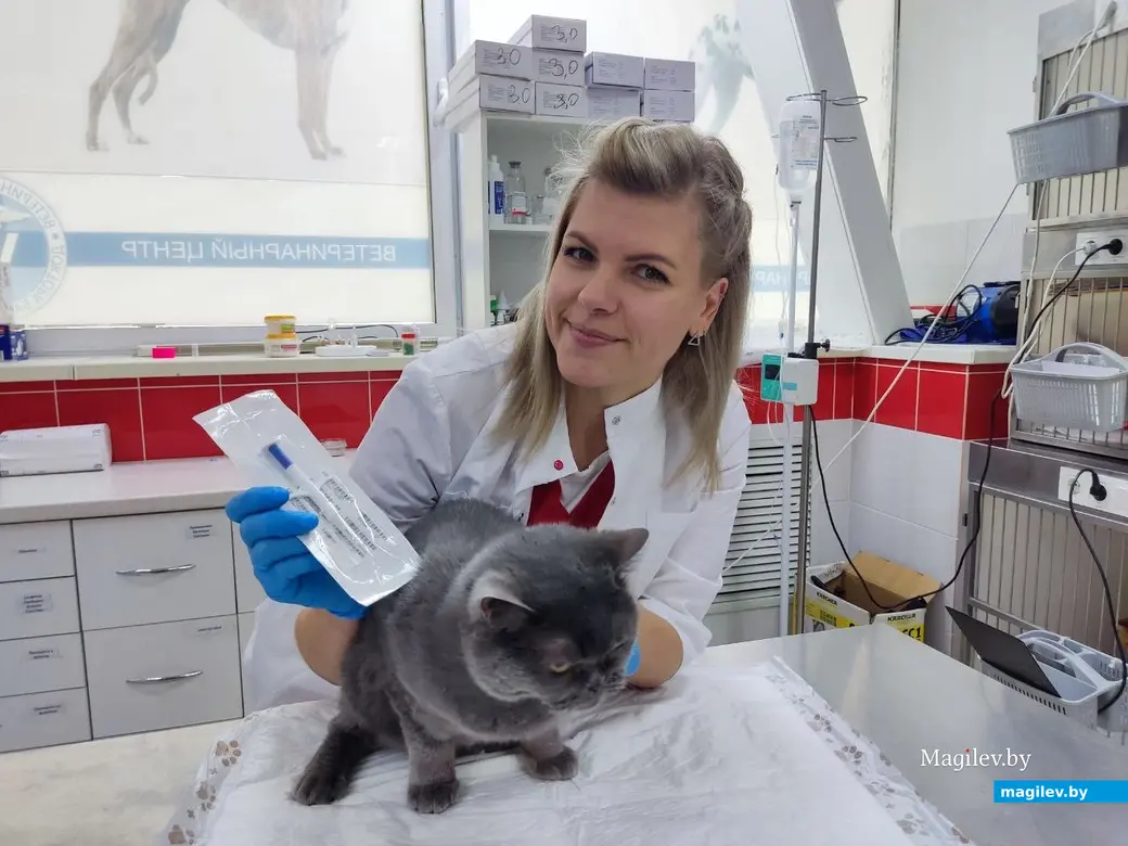 Чипировать питомца можно в могилевском филиале Ветеринарного центра доктора Базылевского А.А. Здесь работают настоящие профессионалы