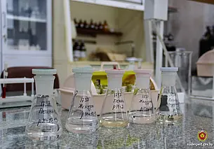 Могилевчанка отравилась этиленгликолем. Спасти женщину не смогли