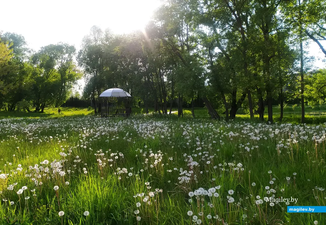 16.05.2024 г. Могилев, парк Подниколья