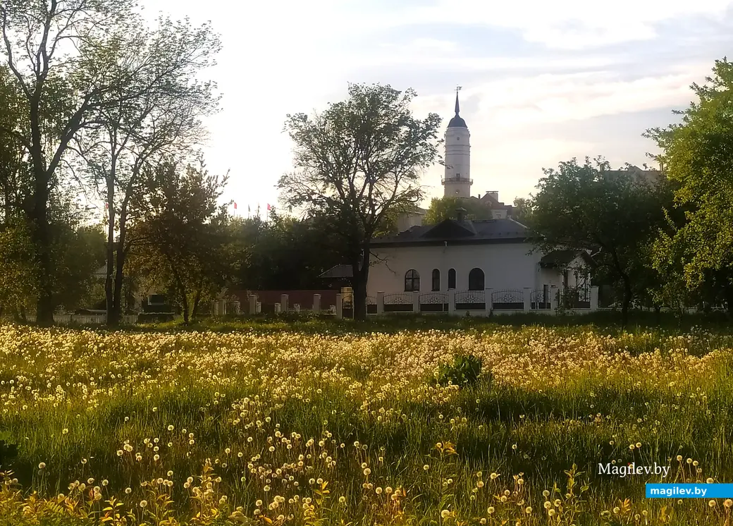16.05.2024 г. Могилев, парк Подниколья